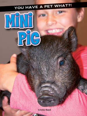 Mini Pig - ebook